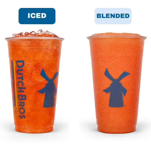 Palm Beach Rebel ICED AND BLENDED